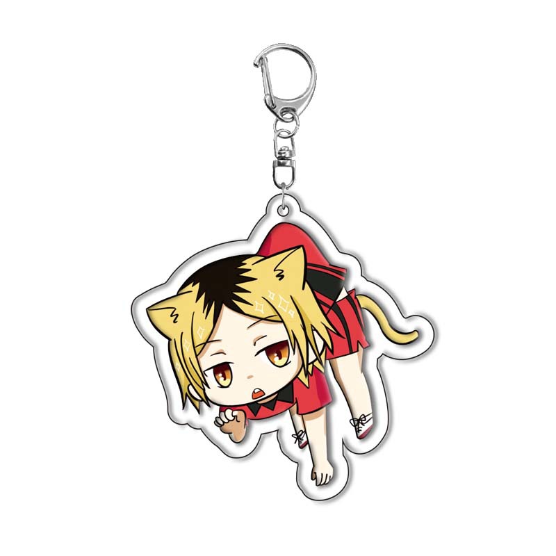 Haikyuu!! Hinata Shoyo Acryl-S – Anime Merchandise Keychain Bewertung und Preis